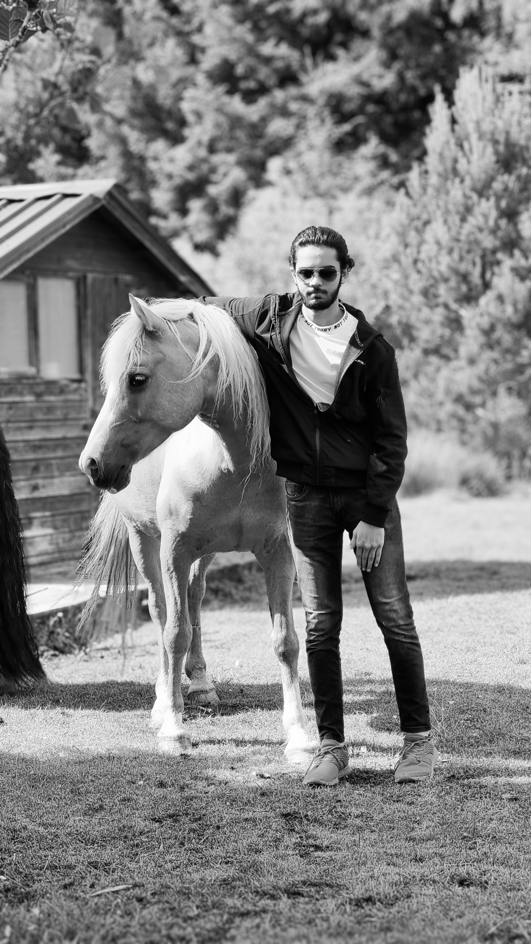 Muhammad Hamza Sajid